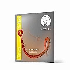 Pitbull SAG1047SL 10-47 Akustik Gitar Teli