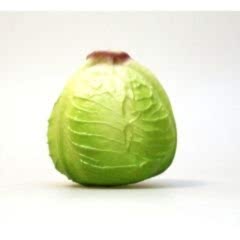 Nino 536CABBAGE Lahana Shaker