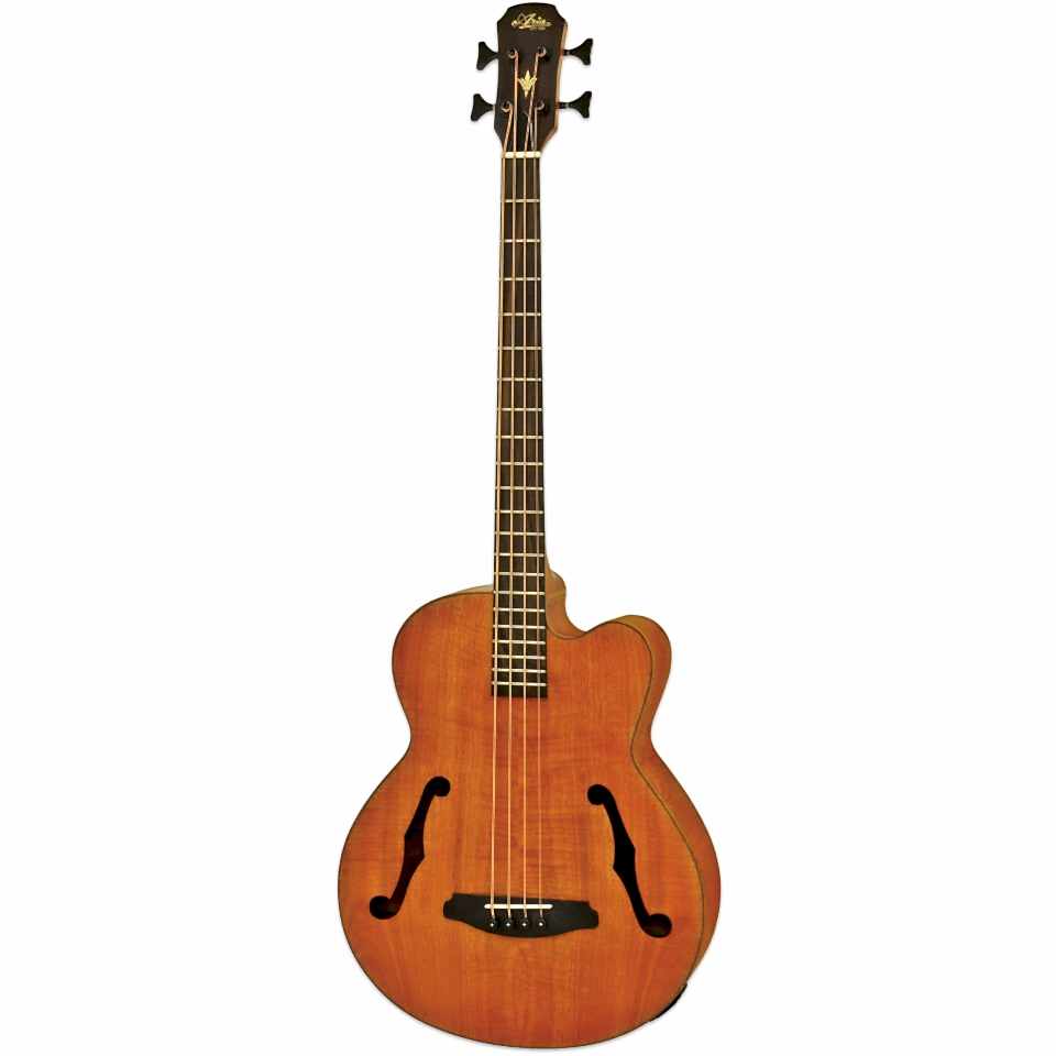 Aria FEBF2MSTBR Akustik Bas Gitar