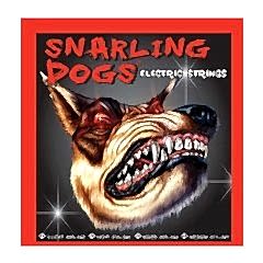 Dandrea SDN10 Elk. Gitar Teli Rin 10-10'S .010-.046 Med / L