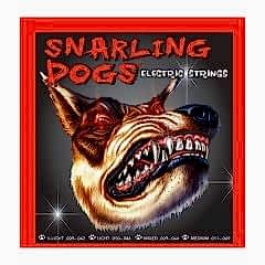 Dandrea SDN09 Elk. Gitar Teli K-9S 009-042 Light