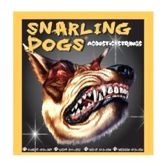 Dandrea SDP11 Aks. Gitar Teli Phs. Brnz. Sd Lites 011-052