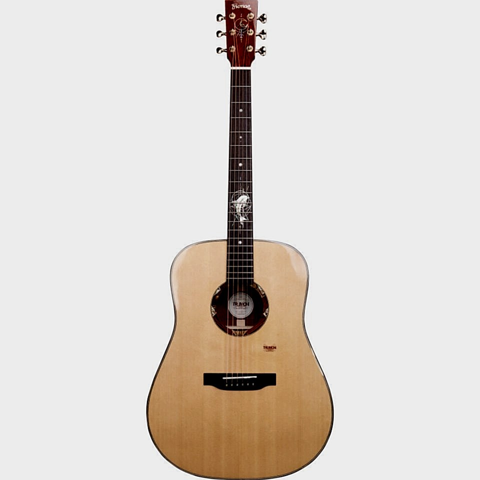 Trumon Dolphin 1955D Akustik Gitar