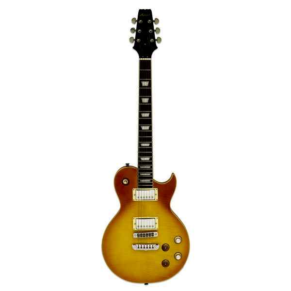 Aria Pro II PE350PGAGLD Elektro Gitar HH RW