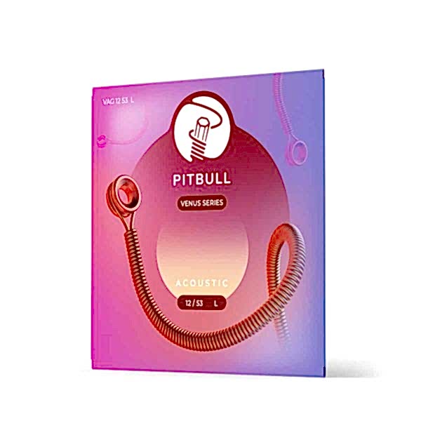 Pitbull 12-53 PB Light Akustik Gitar Teli