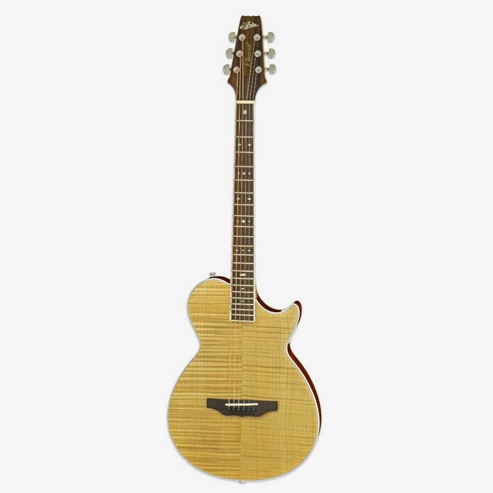 Aria APE100N Elektro Akustik Gitar