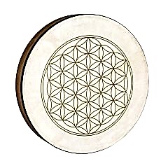 Meinl HD16WBFOL 16 Inch Hand Drum