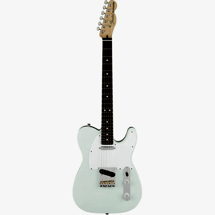 Fender USA Performer Tele Elektro Gitar RW SSNB