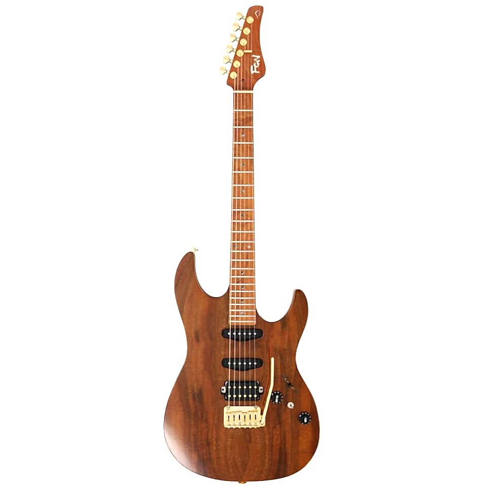 Fujigen Odyssey Elektro Gitar EOS2DUEW2RM/VNT